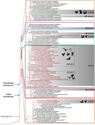 Sequence-based epitope mapping of high pathogenicity avian influenza H5 clade 2.3.4.4b in Latin America